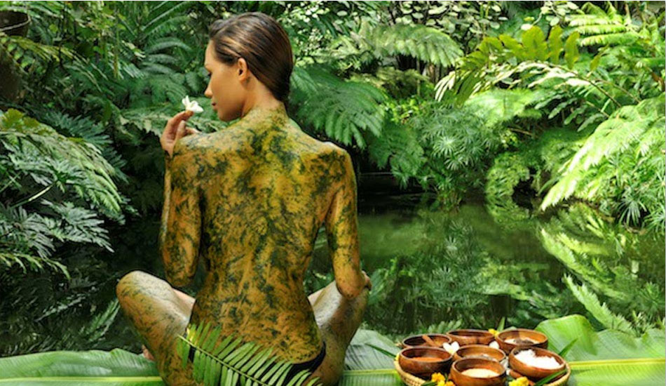 The Farm at San Benito Image